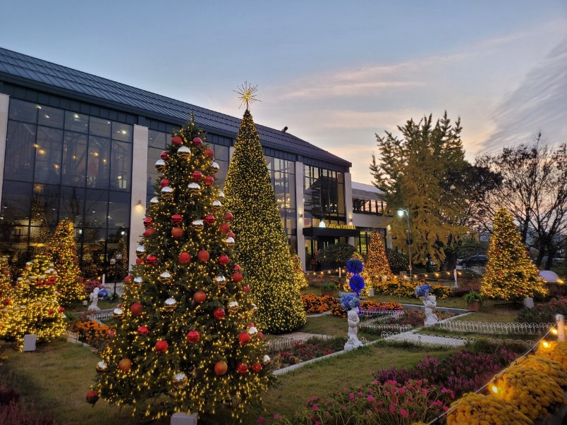 서울 근교 크리스마스트리 예쁜 카페 Best 5