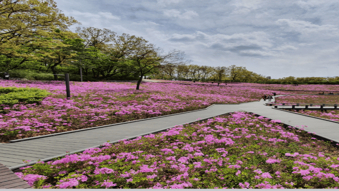 전국 4월 철쭉 축제 일정 총정리