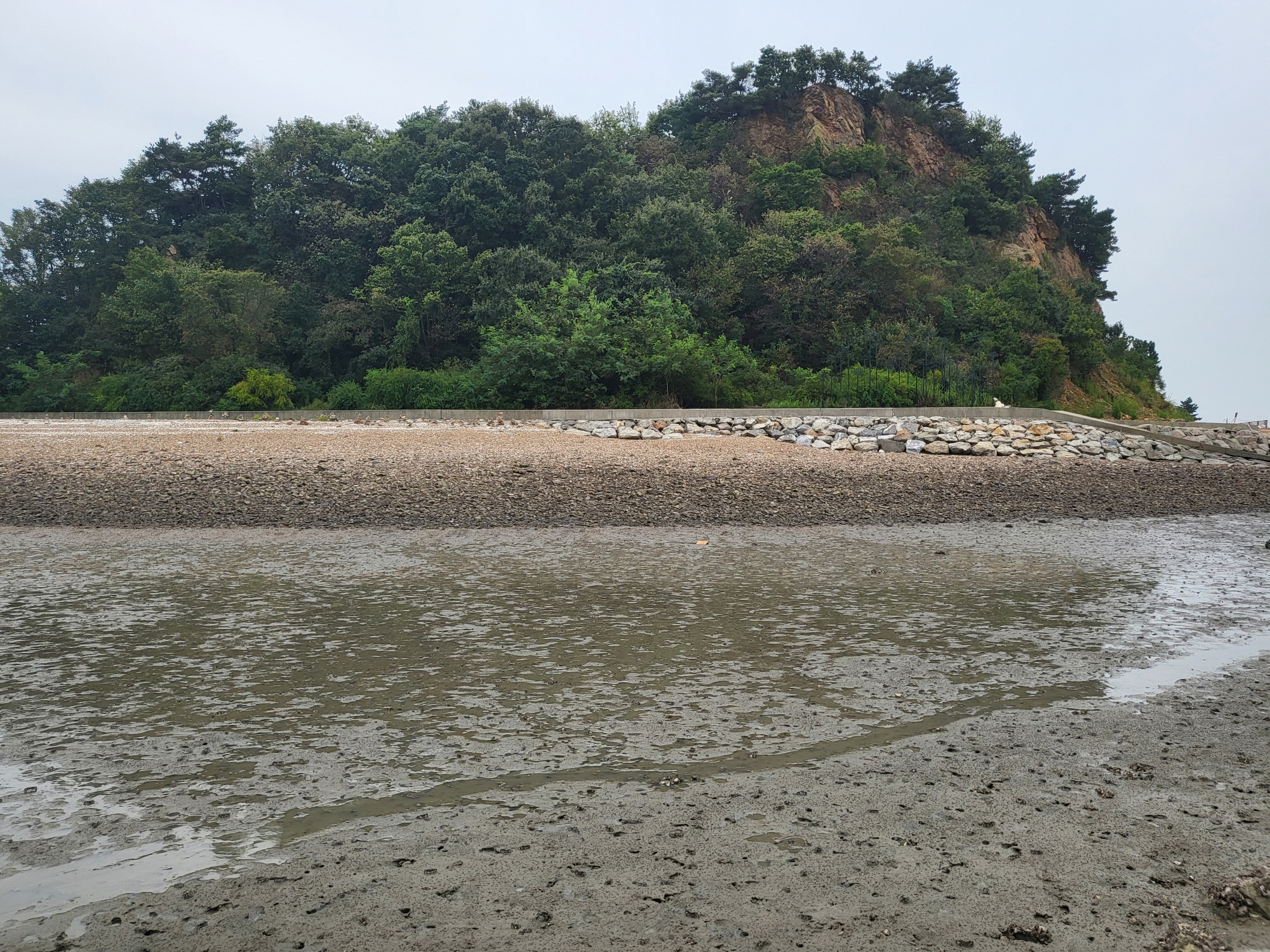 탄도항 - 바다섬