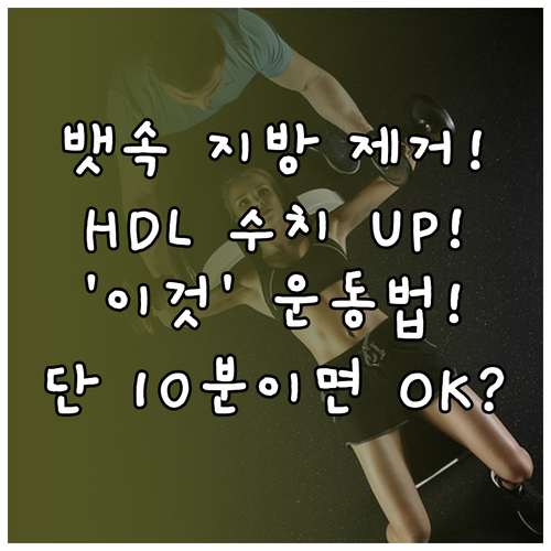 중성지방 낮추고 HDL 높이는 운동 ..
