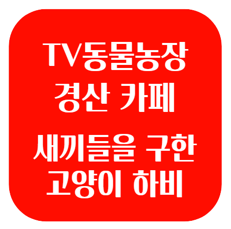 동물농장