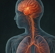 식은땀 나는 이유