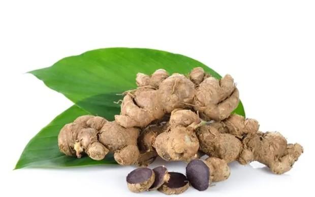 파비플로라 알파CD 효능