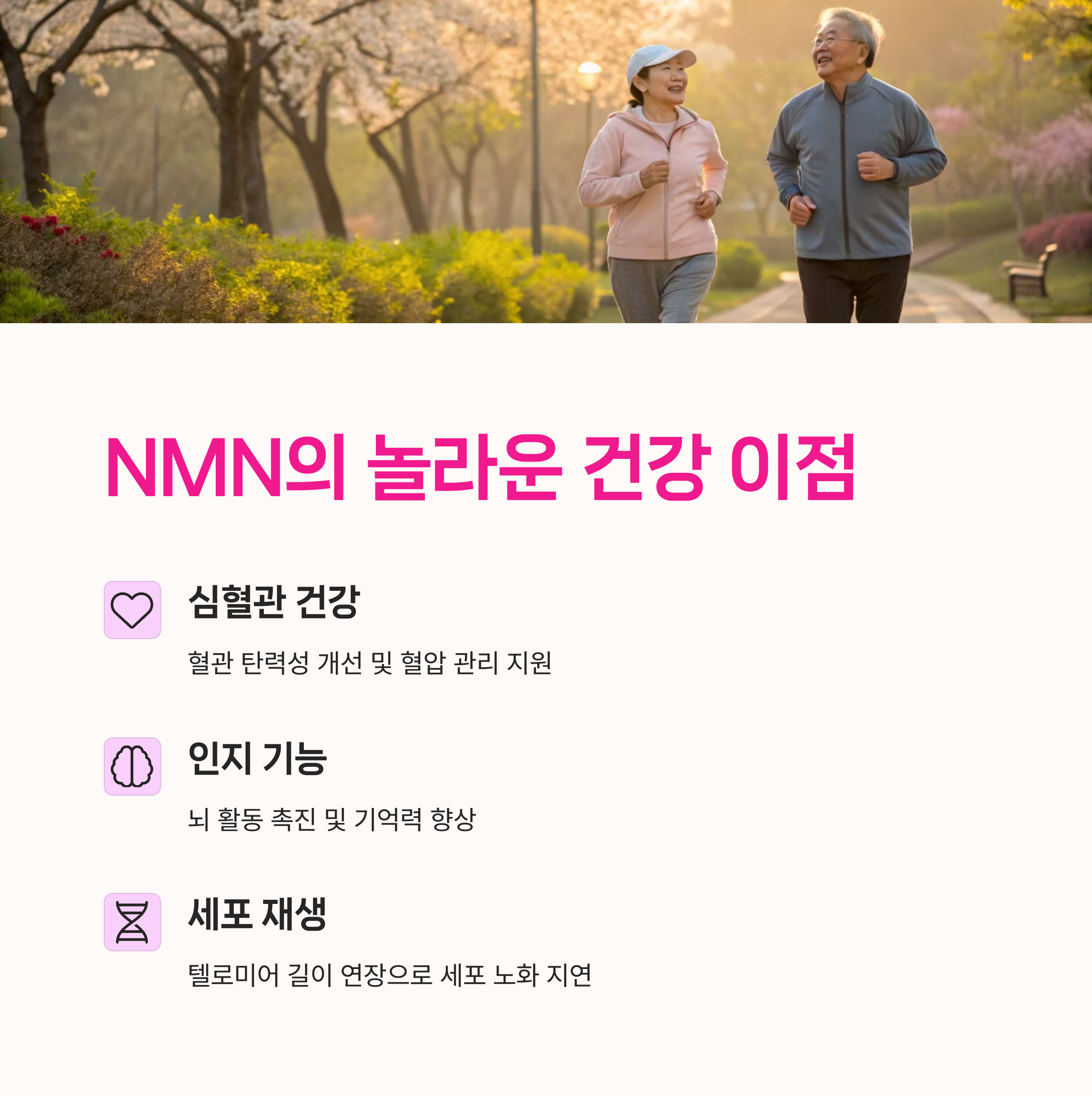 텔로미어, NAD+,