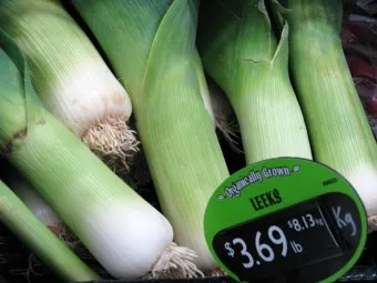 리크 재배 분주 심기 북주기 통풍 관리_11