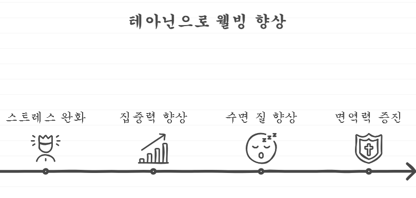 테아닌 효능