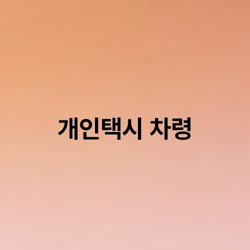 개인택시 차령