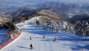 가족여행 스키장 BEST 5 (휘닉스&amp;#44;비발디&amp;#44;곤지암&amp;#44;하이원&amp;#44;지산스키장) 관련사진