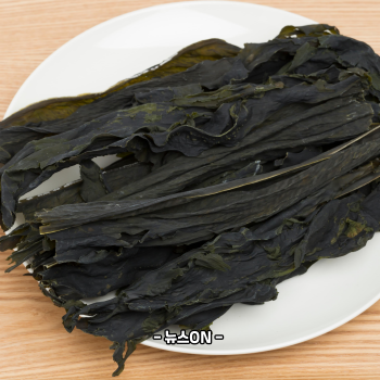 미역 효능