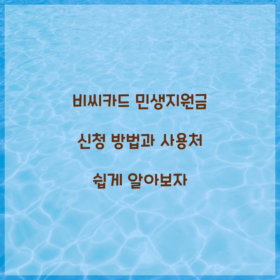 비씨카드 민생지원금