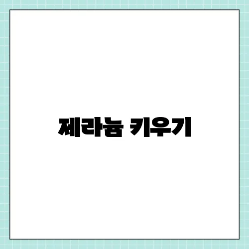 제라늄 키우기, 분갈이 물주기 주의사항 총정리