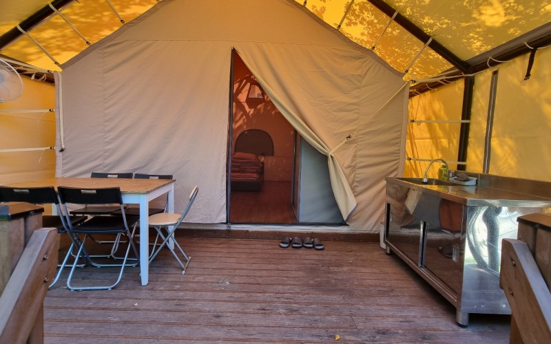 장흥 하늘빛수목원 튤립축제