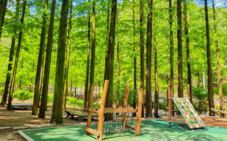 장태산 자연휴양림