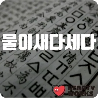 물이 세다 새다 맞춤법 맞는 표현_14