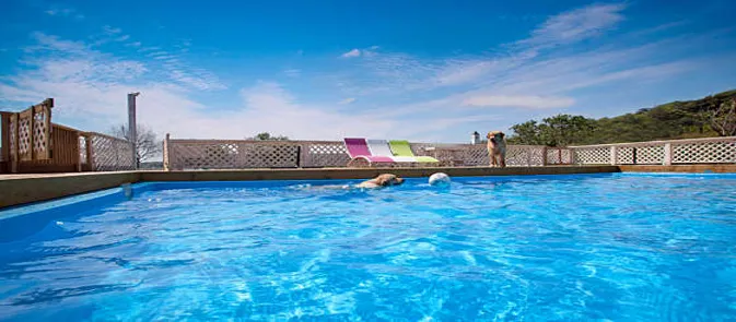 솔푸른향기 애견펜션