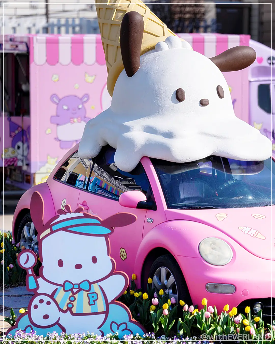 용인 에버랜드 튤립축제 산리오