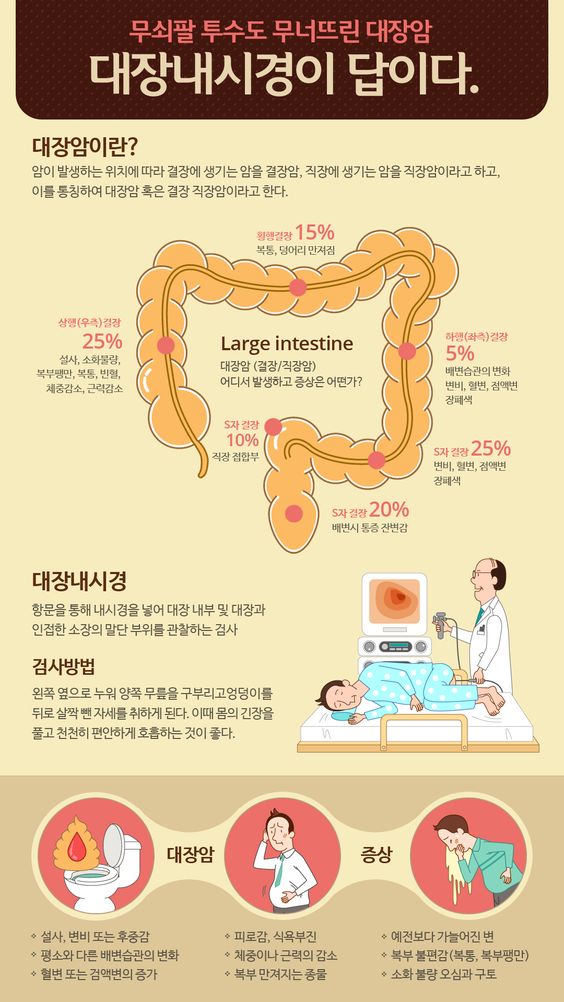 대장내시경 전 음식주의사항 먹어도 되는 음식 전날 음식