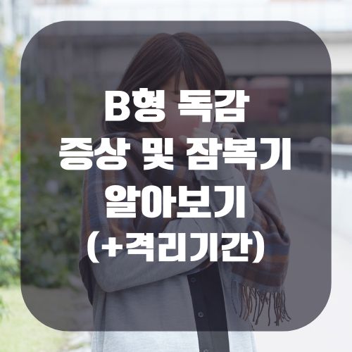 B형 독감 증상 및 잠복기