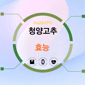 청양고추 효능 5가지 알아보기