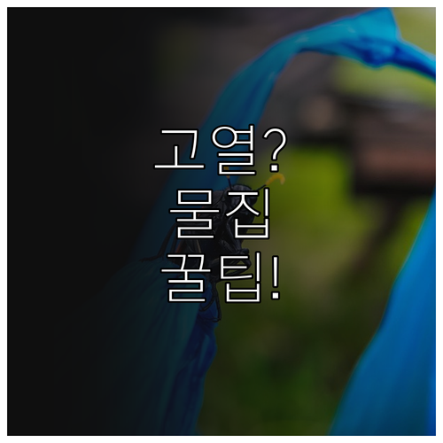 수족구 고열과 물집 증상 대처..