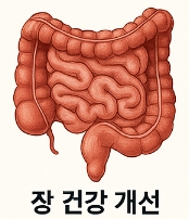 올리브유 효능