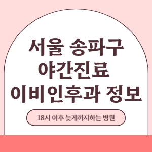 서울 송파구 야간진료 이비인후과 병원 (18시 이후 늦게까지하는 병원)