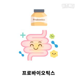 배에 가스가 자주 차는 이유