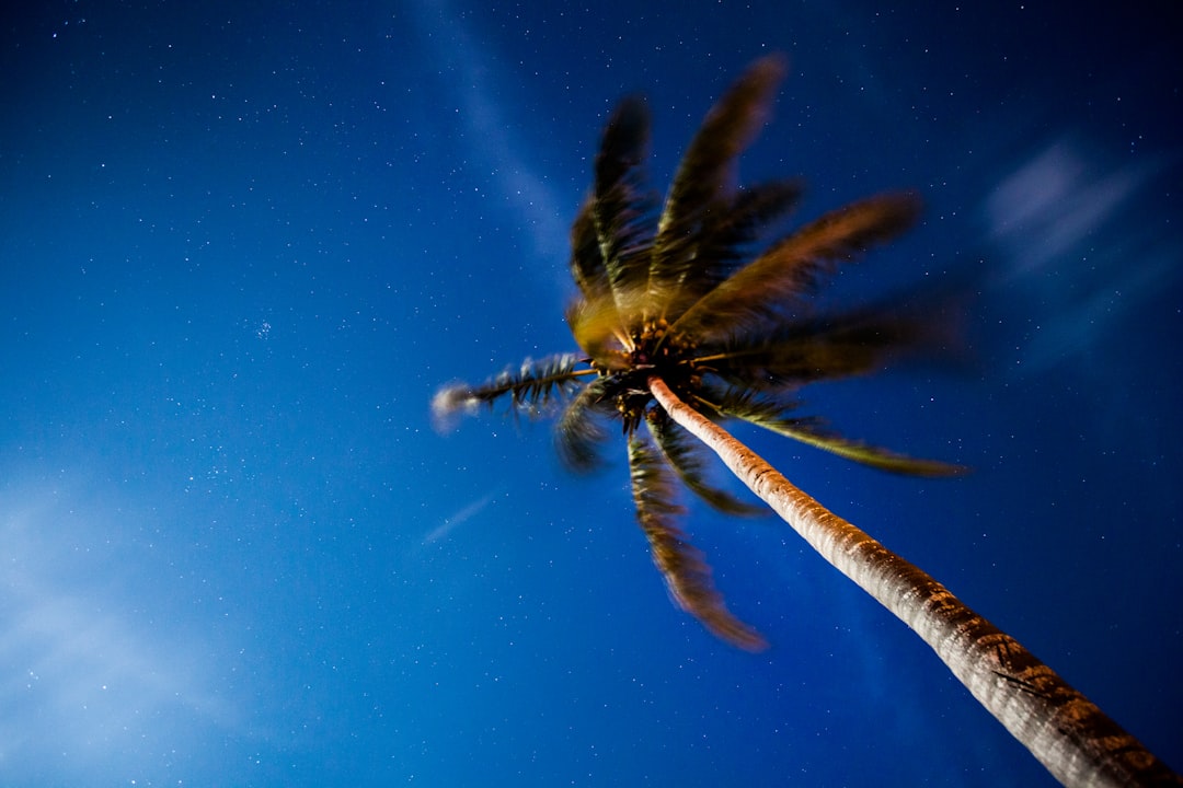Wind
