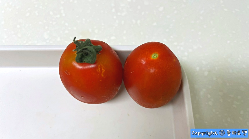 방울토마토-꼭지