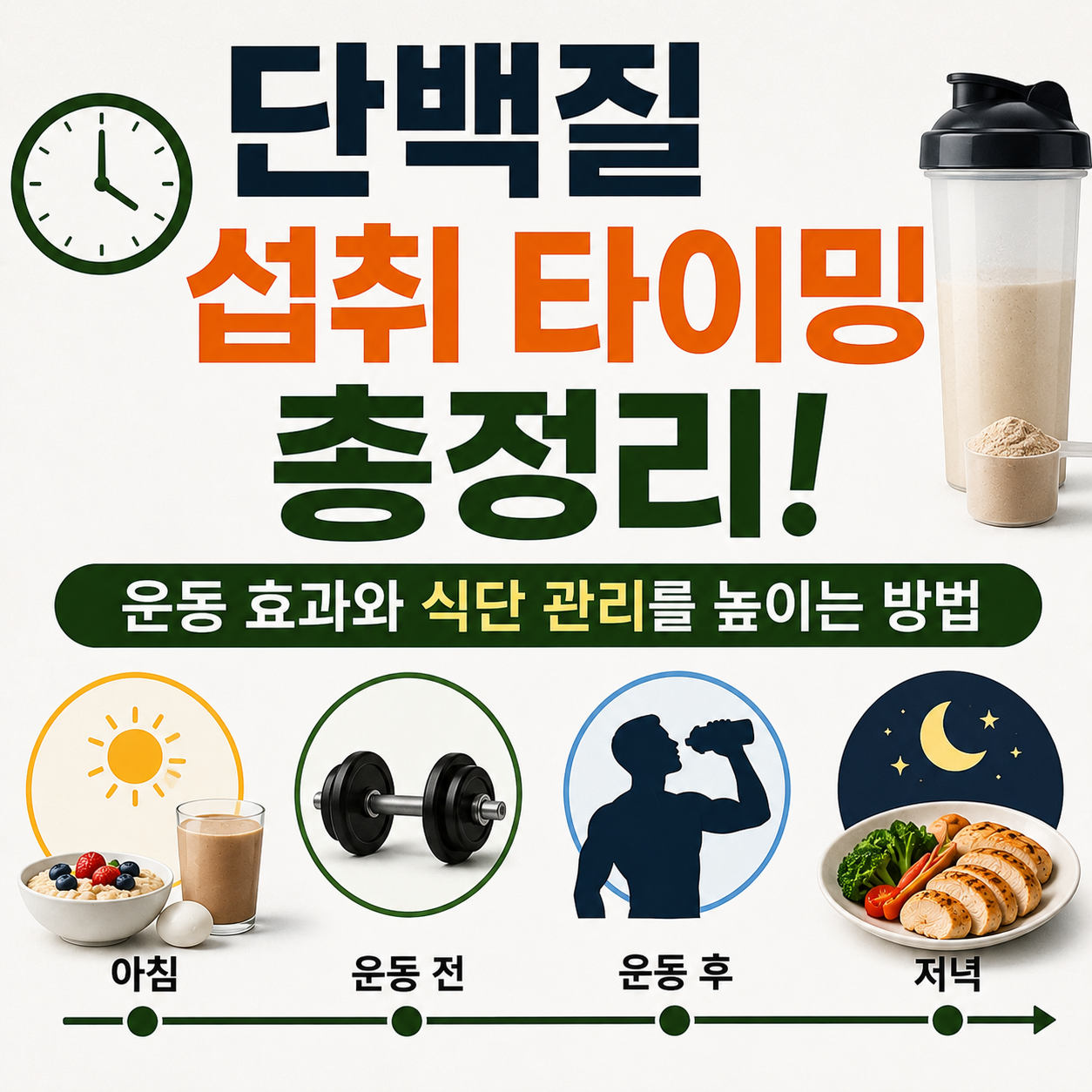 단백질 섭취 타이밍