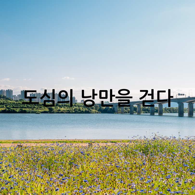 한강야경투어_봄