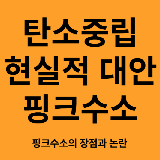 탄소중립의 현설적 대안, 핑크수소