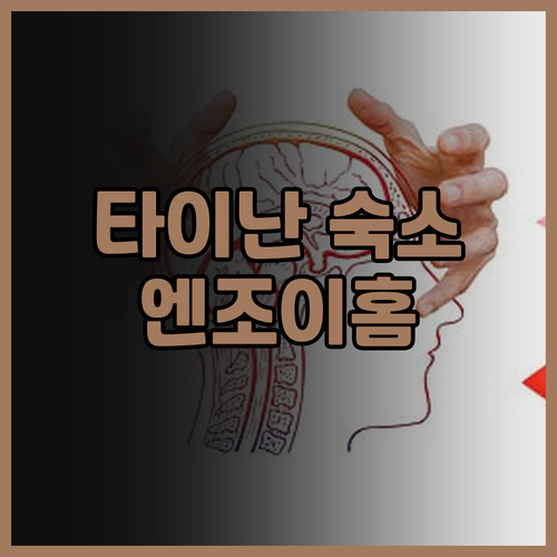 타이난 숙소 추천 엔조이 홈스테이! ..