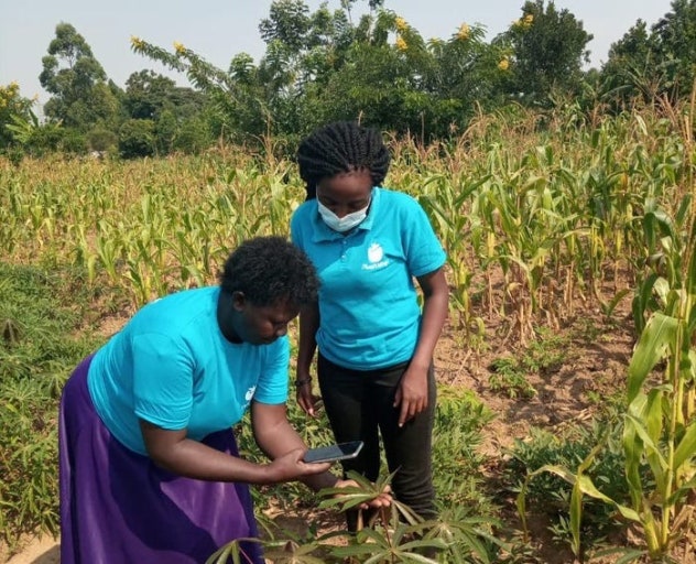 아프리카 마지막 절대왕국, 에스와티니의 현재