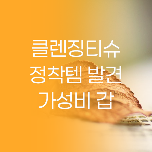 클렌징 티슈 유목민 정착템 아리얼 퓨