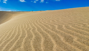 이색 여행지 BEST 4