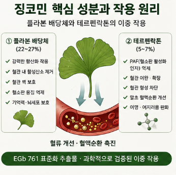징코민-효능-추천-복용법-성분-부작용-가격