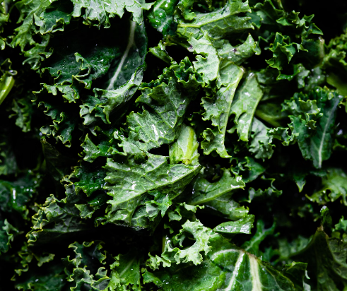 마그네슘 많은 음식 : 케일