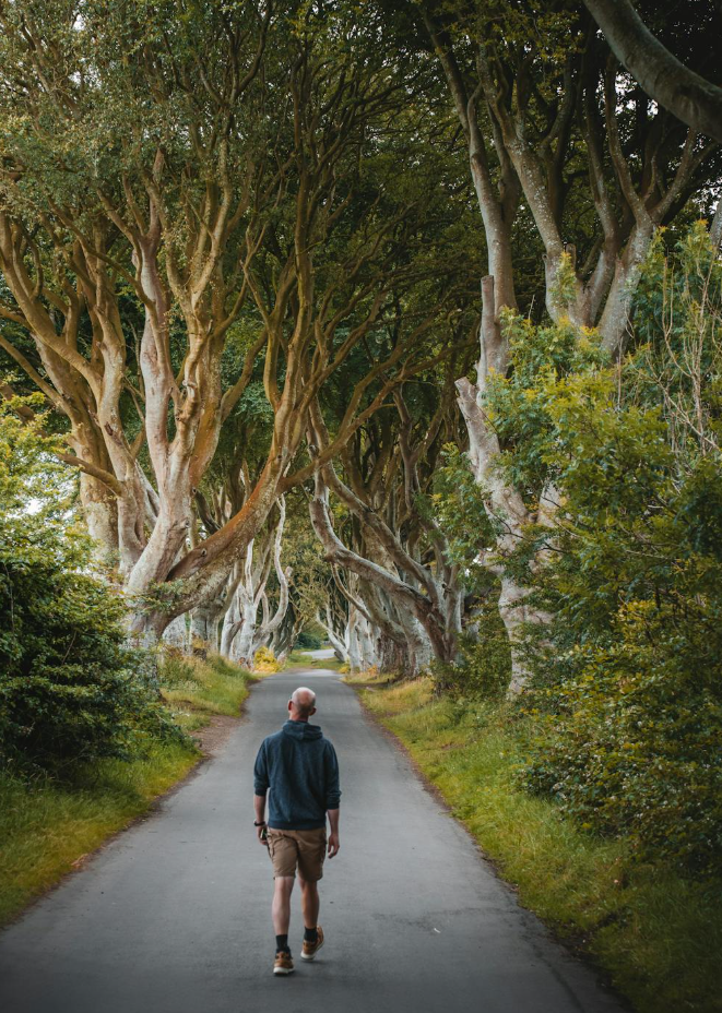 the Dark Hedges&amp;#44; Balleymoney&amp;#44; 왕좌의 게임 드라마 촬영지 