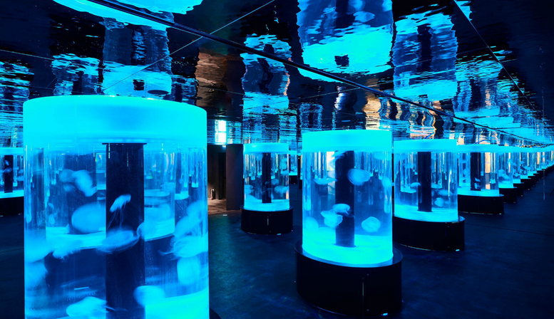 아쿠아플라넷광교