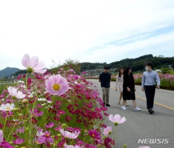 추분