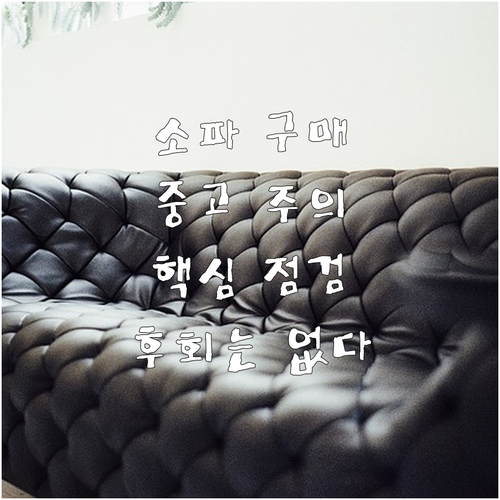 중고 소파 구매 전 필독 핵심 점검 