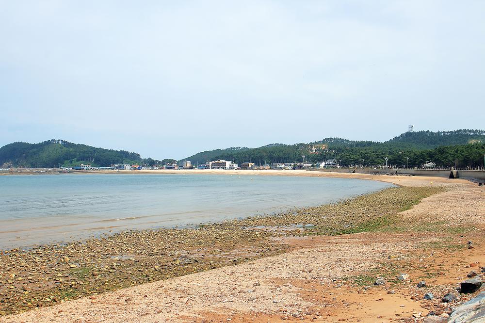 태안군 어은돌 송림캠핑장 소개