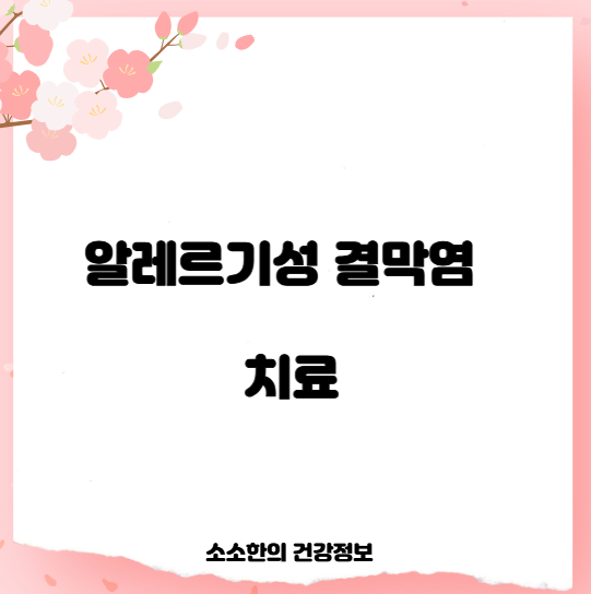 알레르기성 결막염 치료