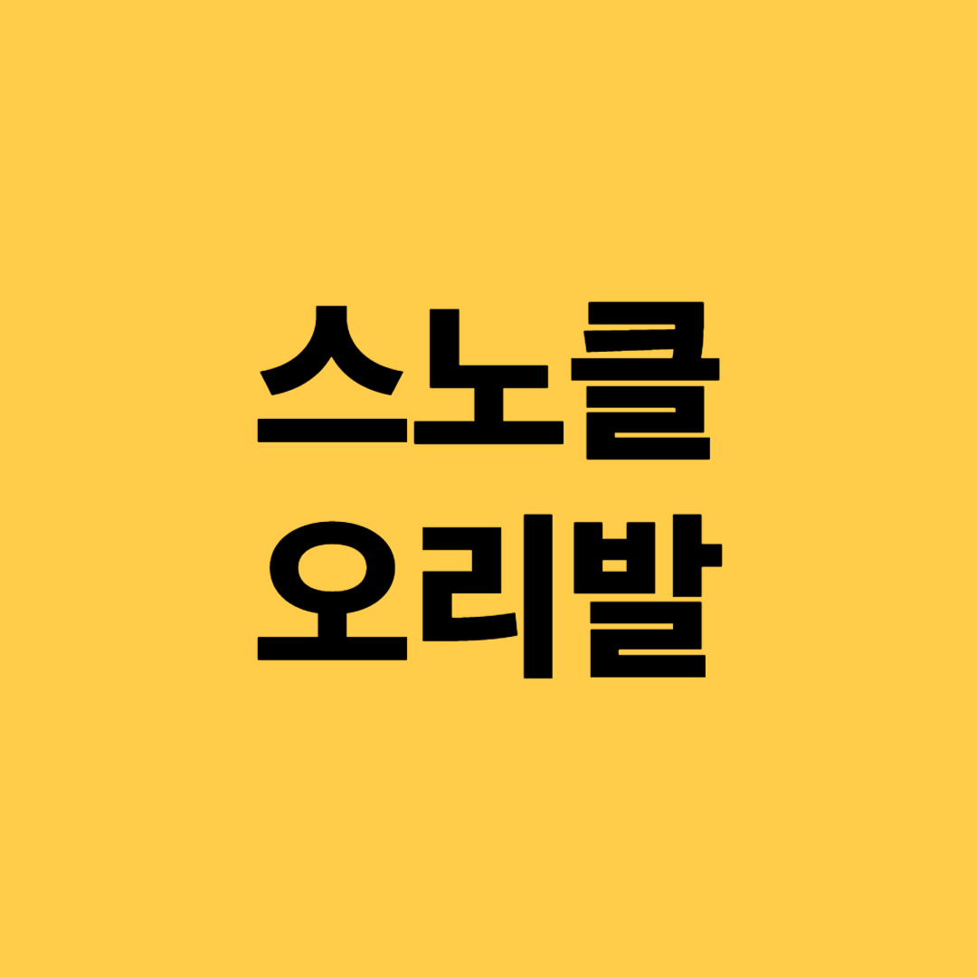 장비소개 스노클, 오리발, 관리방법