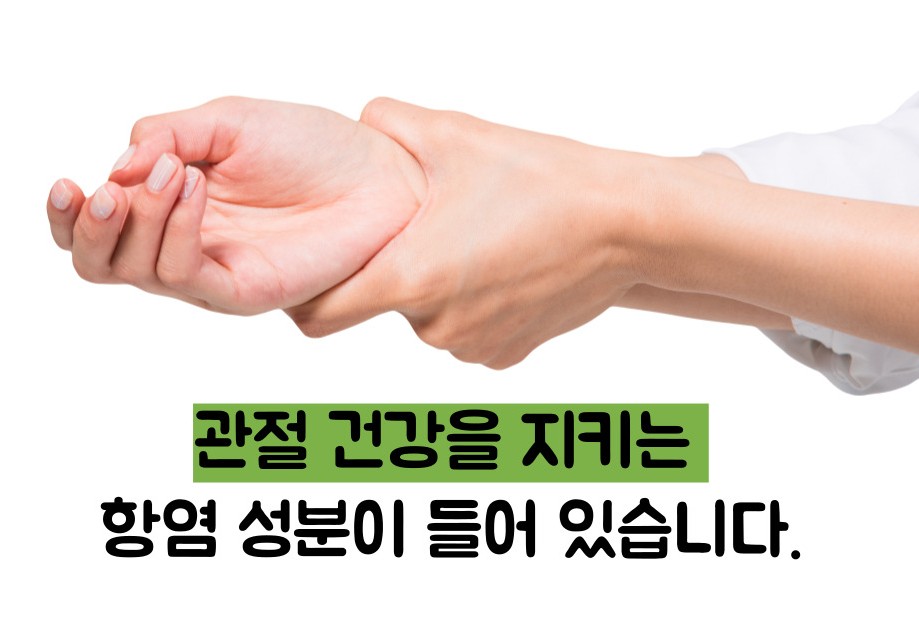 아보카도 효능