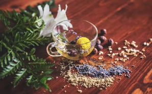 참당귀 효능 참당귀 뿌리 효능