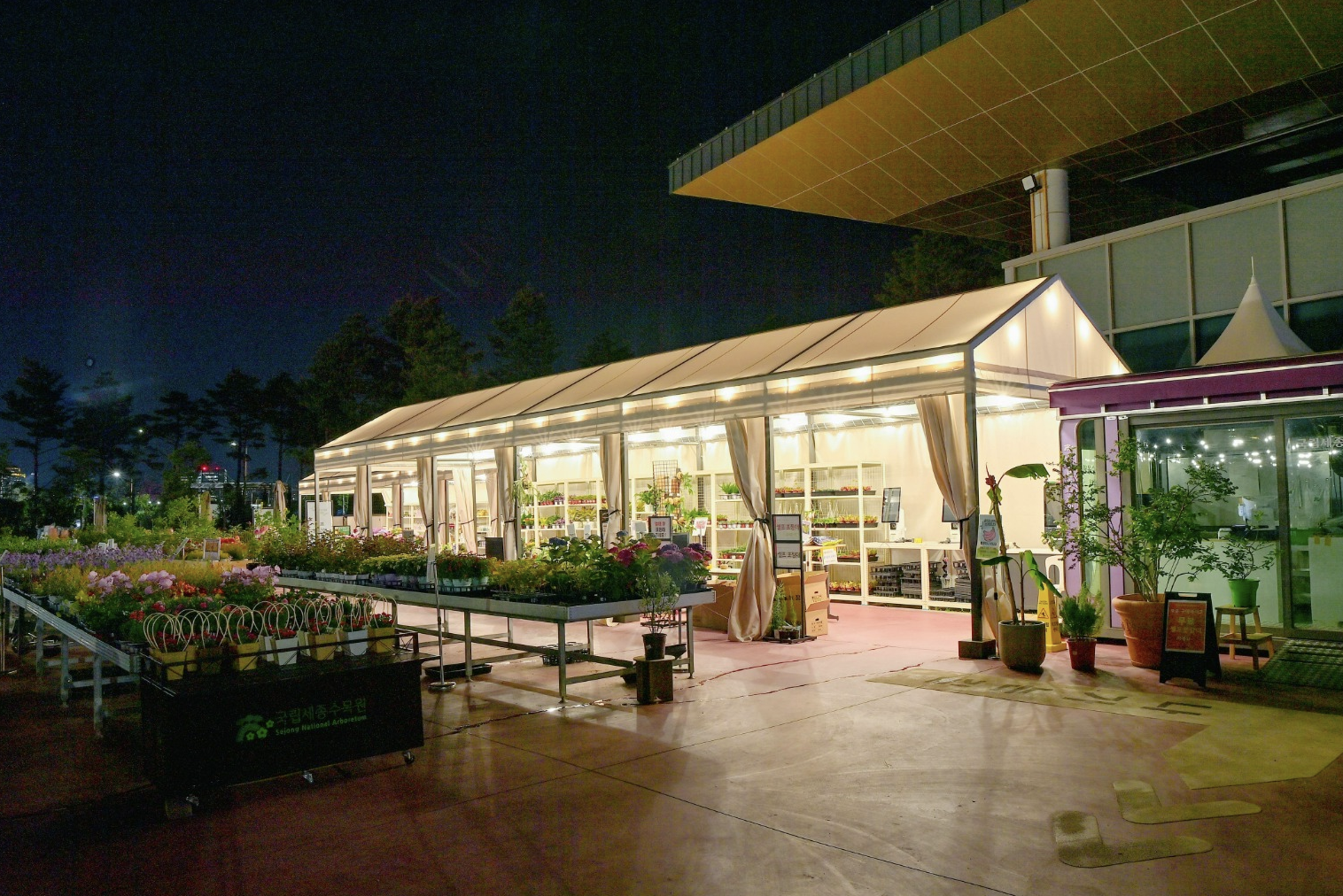 국립세종수목원 야간개장