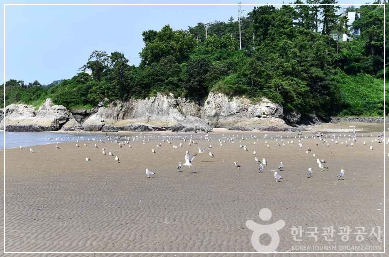 영광 가볼만한곳 베스트10 가마미 해수욕장