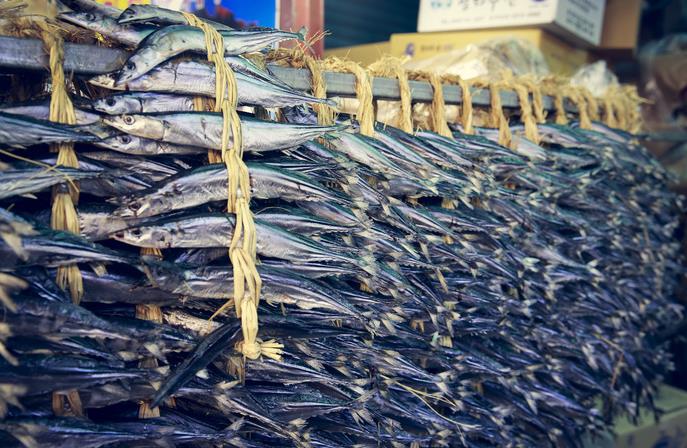 생방송투데이 과메기